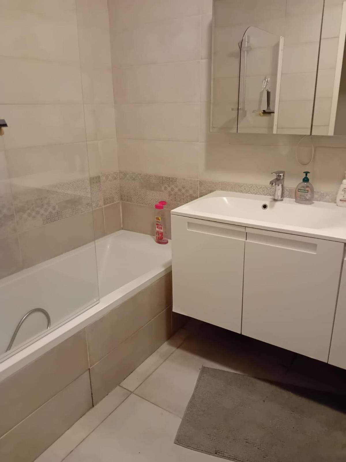 2Bhk Entire Apartment Fully Equipped 84M2 Lyon Luaran gambar